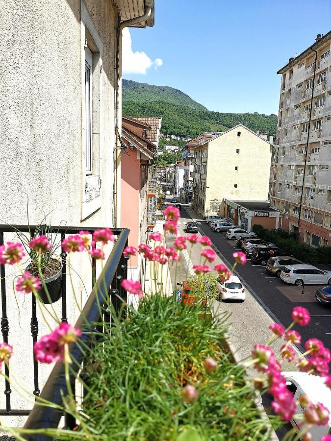 Le Petit Angle Appartement 2 Pieces, Plein Centre Ville, Pres De La Gare Jusqu'A 4 Personnes Bellegarde-sur-Valserine Esterno foto