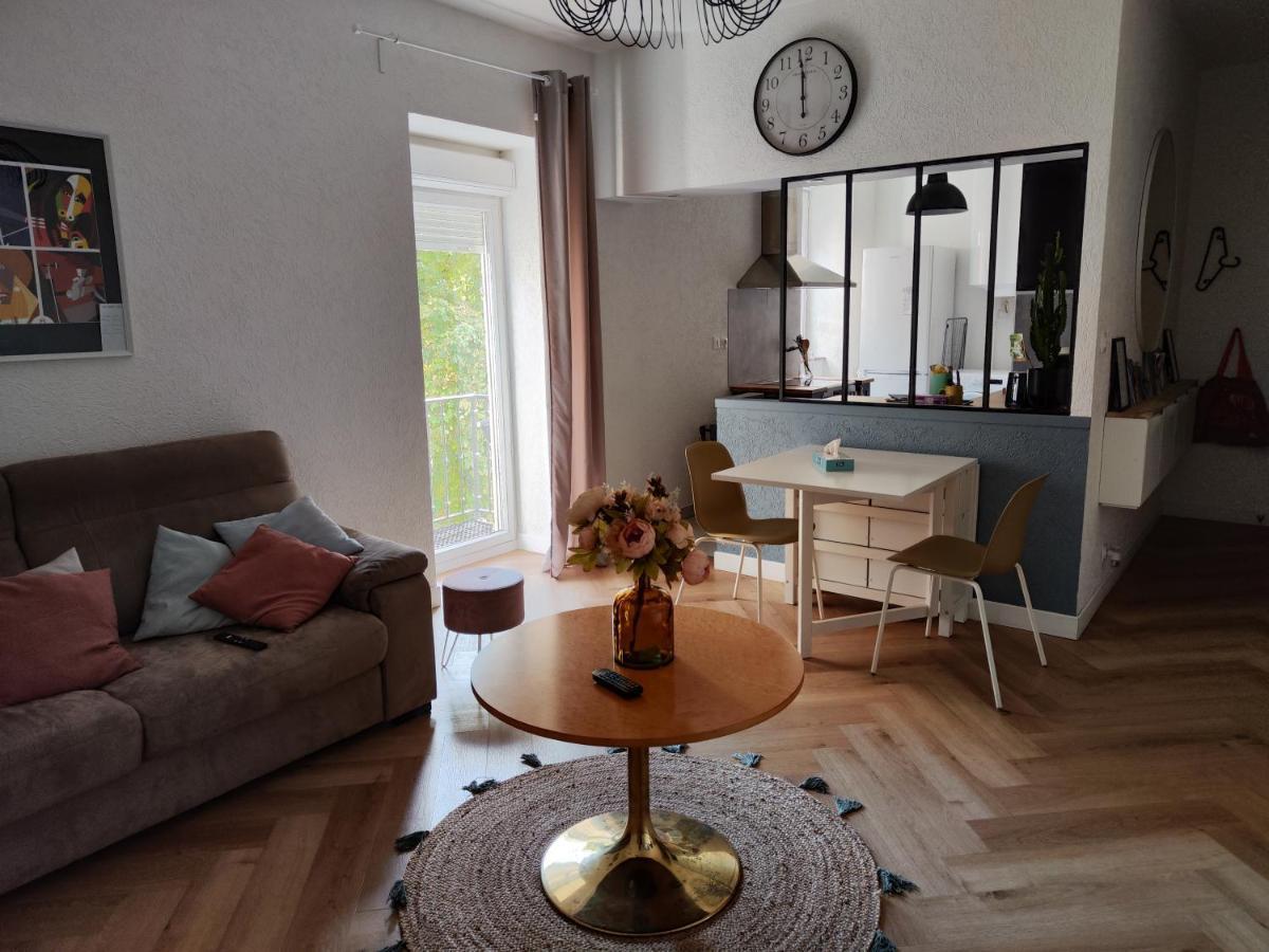 Le Petit Angle Appartement 2 Pieces, Plein Centre Ville, Pres De La Gare Jusqu'A 4 Personnes Bellegarde-sur-Valserine Esterno foto