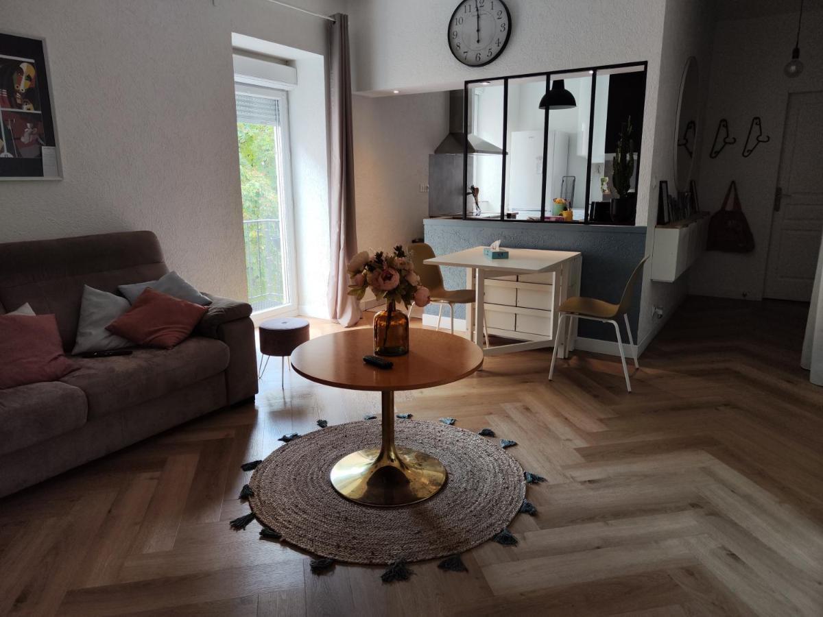 Le Petit Angle Appartement 2 Pieces, Plein Centre Ville, Pres De La Gare Jusqu'A 4 Personnes Bellegarde-sur-Valserine Esterno foto